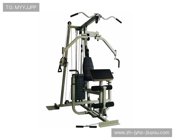 飞鸟品牌健身器材产品及滑轮系统功能解析